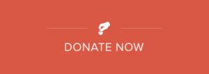 donate_now_lg